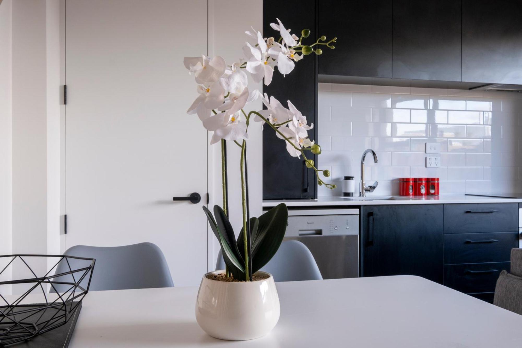 Luxury 2 Bed Townhome In Cbd 크라이스트처치 외부 사진